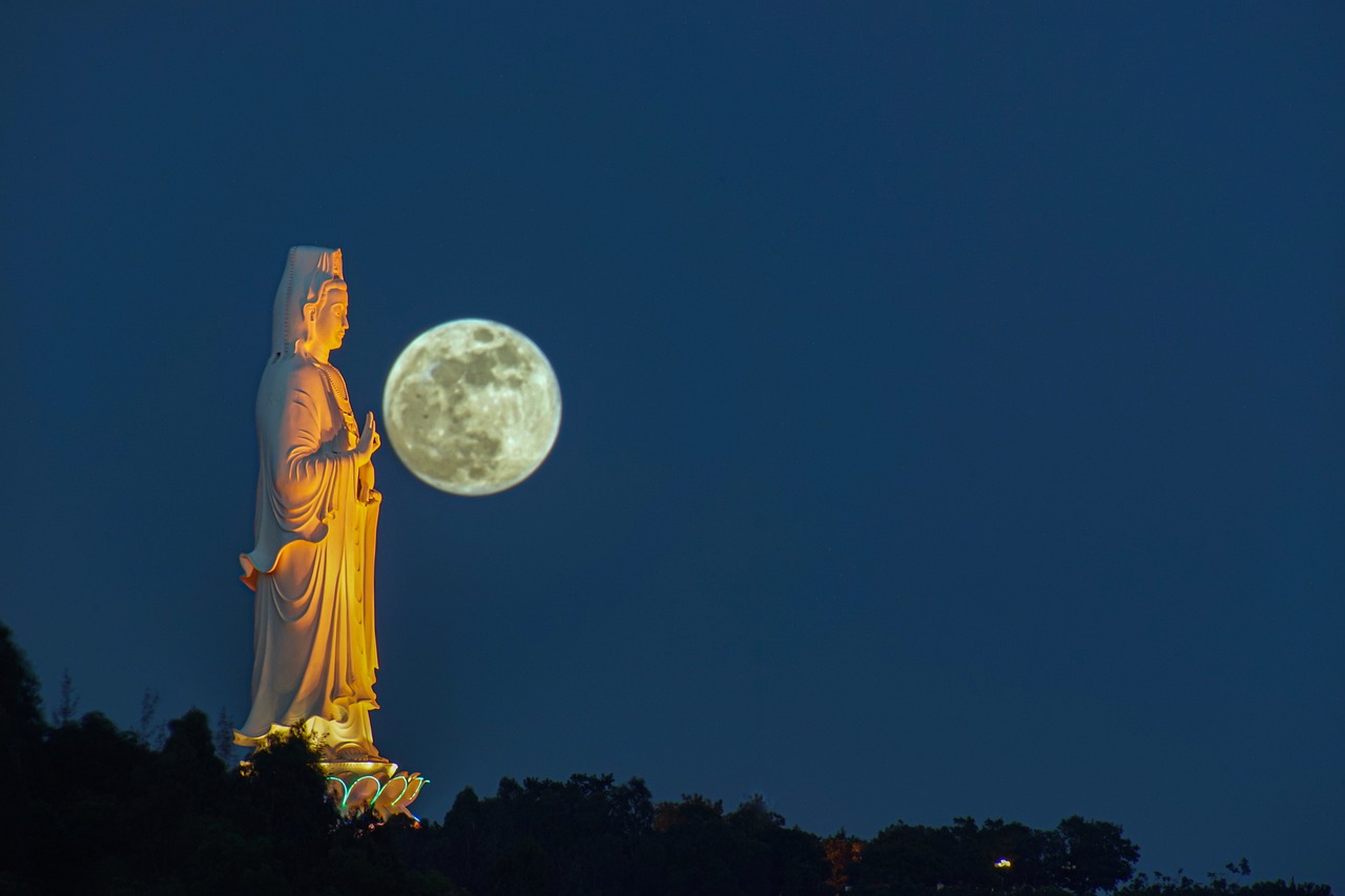 파고다 환급 신청